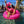 Load image into Gallery viewer, Blonde woman sitting in a pink flamingo in a pool. She is wearing a pink bathing suit and a neon pink trucker hat. She is facing away from the camera with her hands in the air making a rock on sign.
