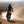 Load image into Gallery viewer, Woman riding a dirt bike in the desert with animal print sleeves 
